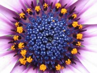 /album/fotogallerij/a2012-07-31-14-35-53-0020-jpg/